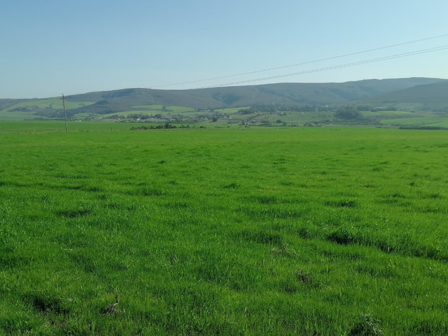 Commercial Property for Sale in Baardskeerdersbos Western Cape